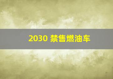 2030 禁售燃油车